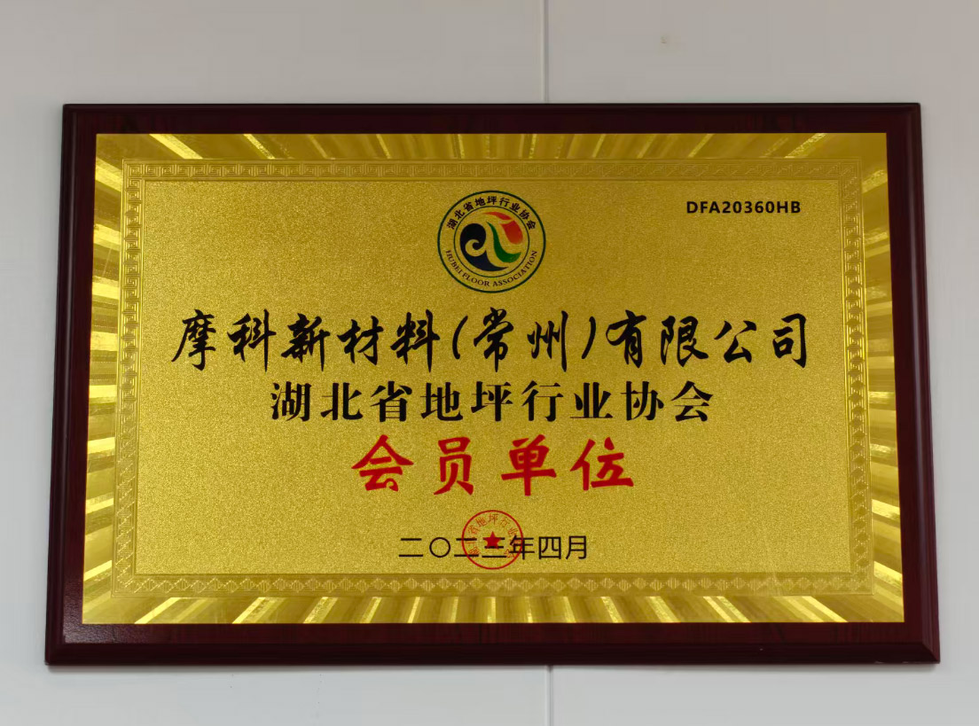湖北省地坪行业协会